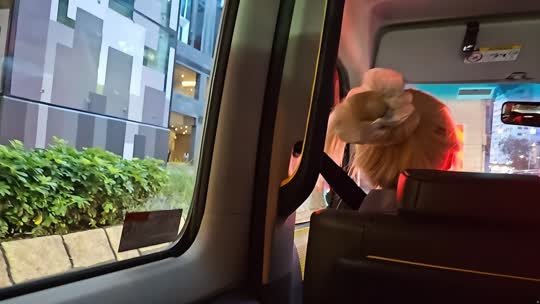 日常