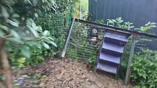日常