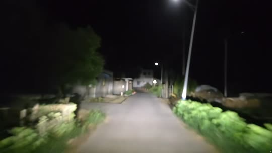 日常