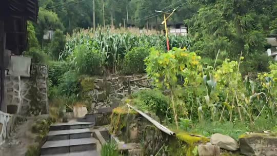 798种地天团