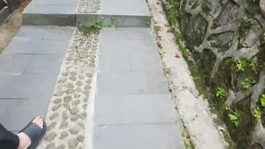 798种地天团