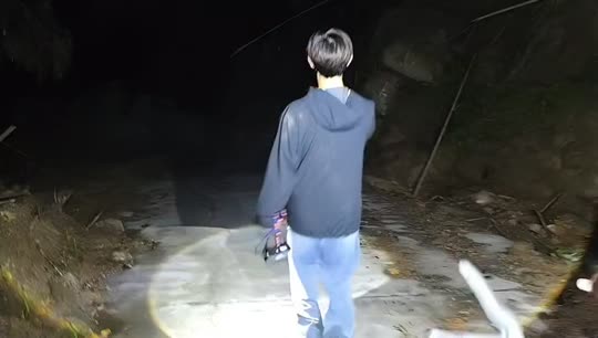 科普蛇
