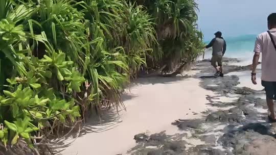 荒岛求生