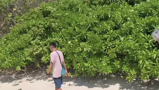 荒岛求生