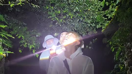 72小时不下播