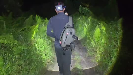 72小时不下播