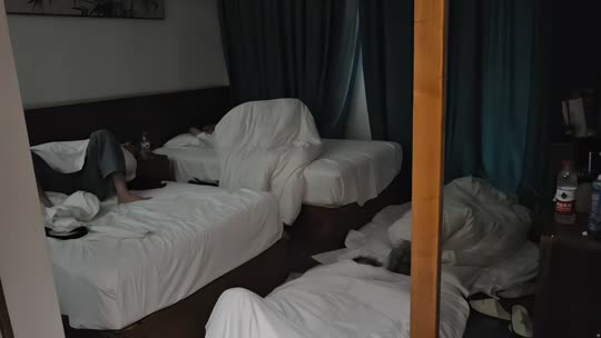 洛阳来都来了