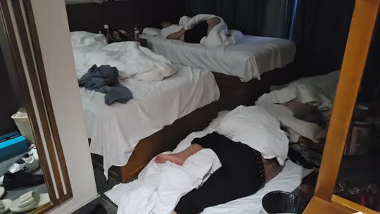 洛阳来都来了