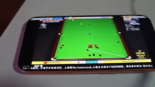 洛阳来都来了