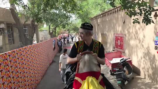 来都来了 新jiang
