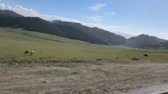 来都来了 乌鲁木齐