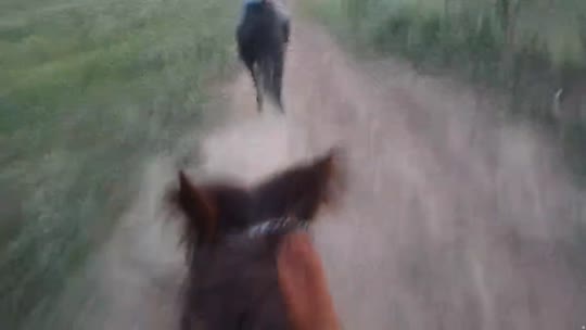 来都来了 伊犁