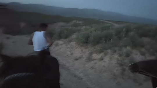 来都来了 伊犁