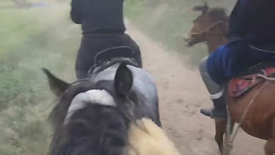 来都来了 伊犁