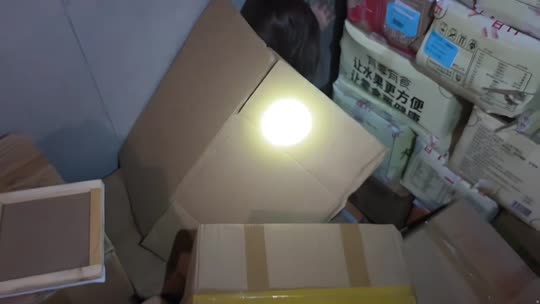 798捉迷藏