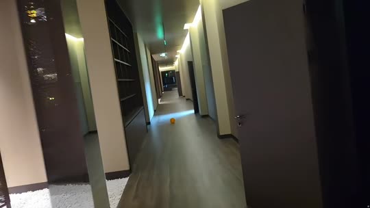 欢迎来到我的直播间