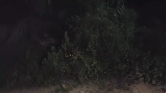 欢迎来到我的直播间