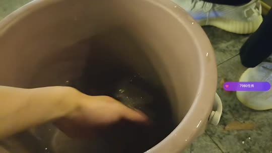 三角庄行动D组ZKL798成员