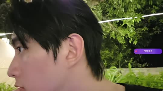 三角庄行动D组ZKL798成员