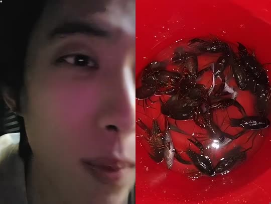 童话小镇 798