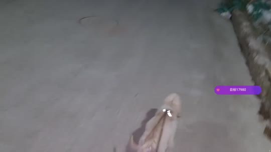 童话小镇 798
