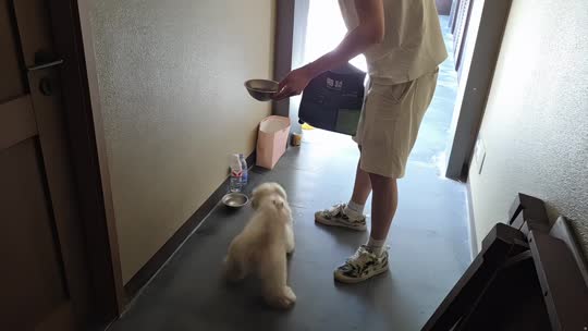 欢迎来到我的直播间
