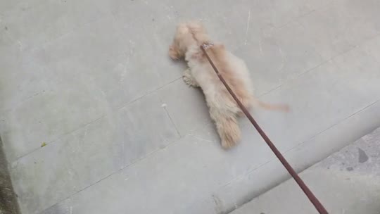 欢迎来到我的直播间