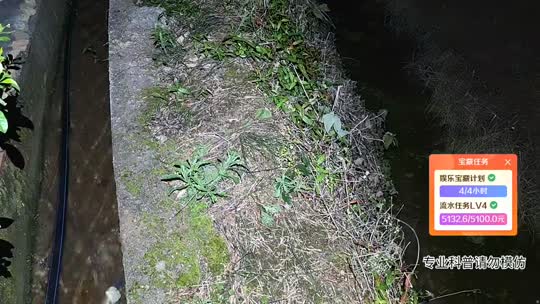 码票出发攀枝花盘暴龙眼镜王蛇