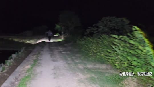码票出发攀枝花盘暴龙眼镜王蛇