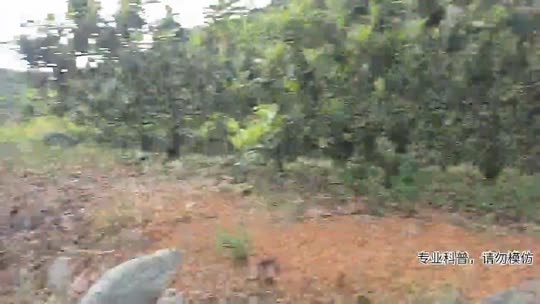 征战攀枝花