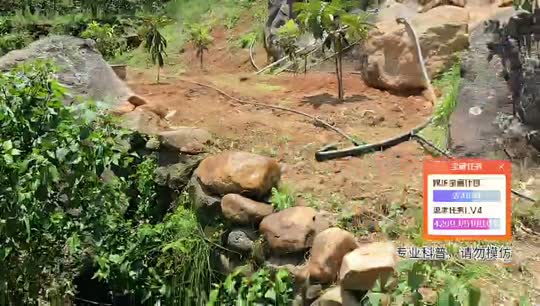 云南行码票