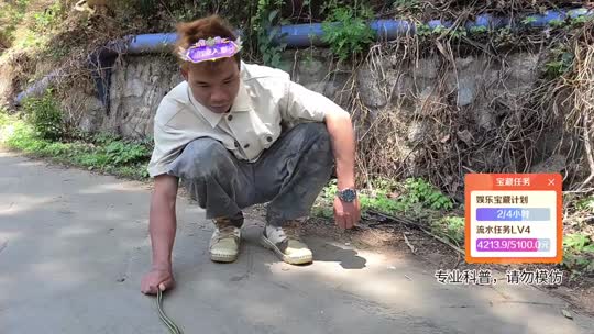 云南行码票
