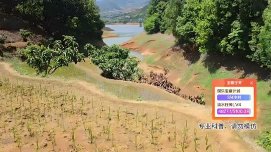 云南行码票