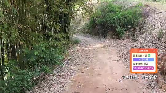 云南行码票