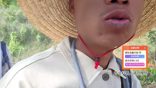云南行码票