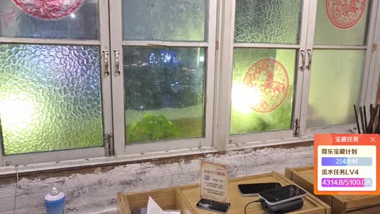 雪芙宝宝来啦